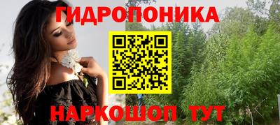 эйфоретик Краснодар