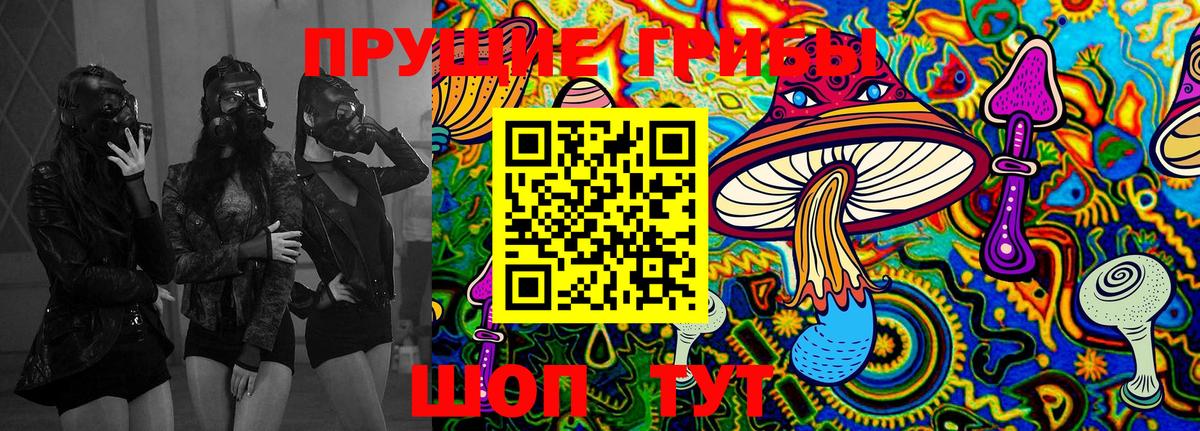 Когалым  хочу наркоту  Вход с VPN  Псилоцибиновые грибы Psilocybe 